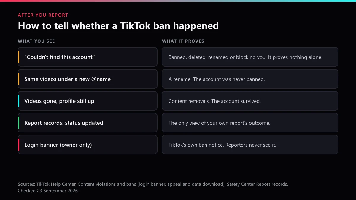 How to know if someone got banned on TikTok: what a missing profile, a rename and Report records each prove