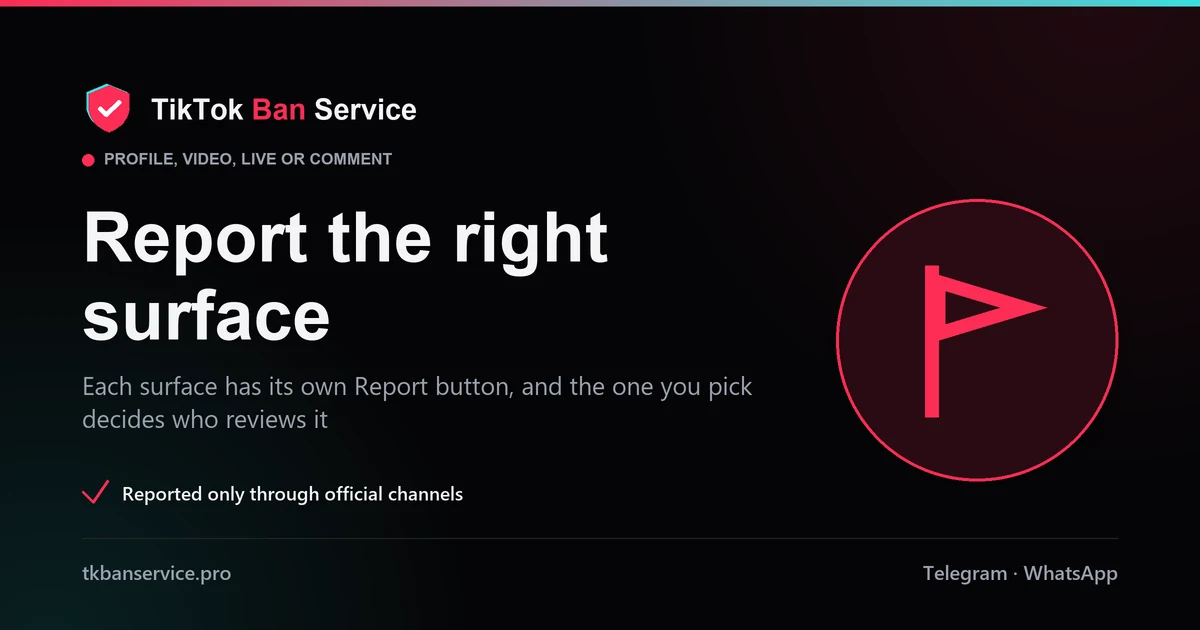How to report a TikTok account: the profile, video, LIVE and comment report routes