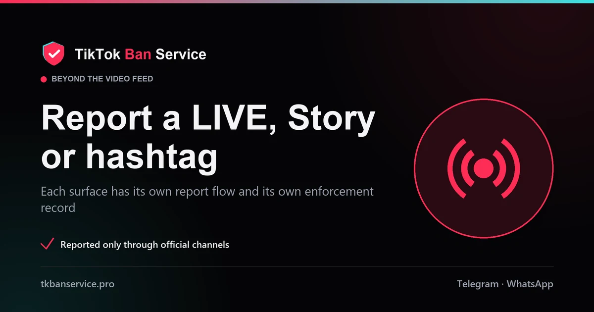 Report a TikTok LIVE, Story or hashtag: each surface has its own report flow and enforcement record
