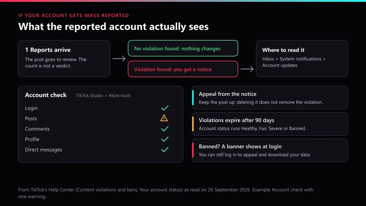 If your account gets mass reported on TikTok: the notice, Account check rows, appeal, 90-day expiry and ban banner