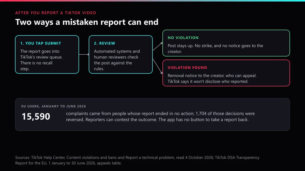 After a TikTok report: review, then either no violation and no notice, or a removal notice that does not name you