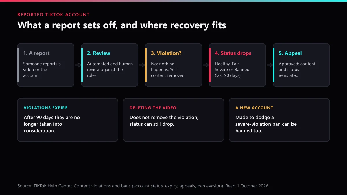 Reported TikTok account path: report, review, violation check, account status and appeal, with the 90-day expiry