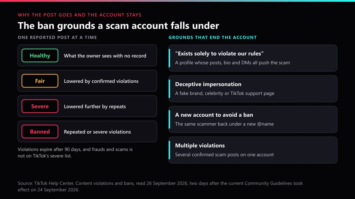 TikTok scam account ban grounds: account status levels versus exists-solely, impersonation and ban-evasion grounds