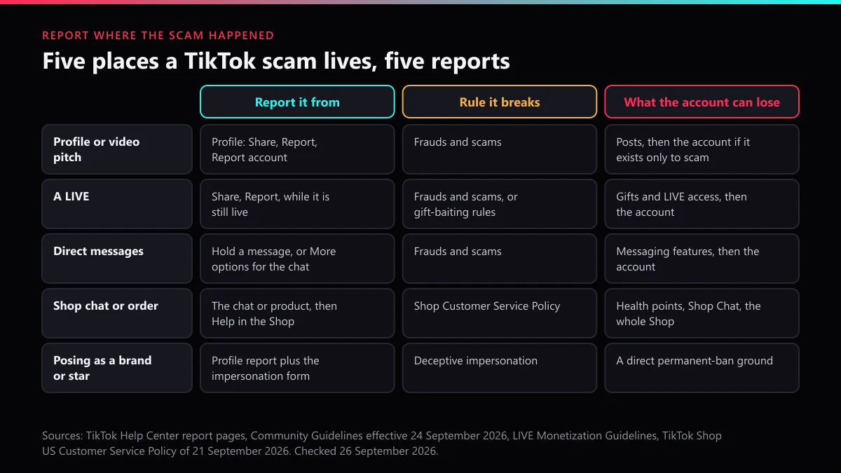 How to report a scammer on TikTok: profile, LIVE, DM, Shop chat and impersonation reports compared