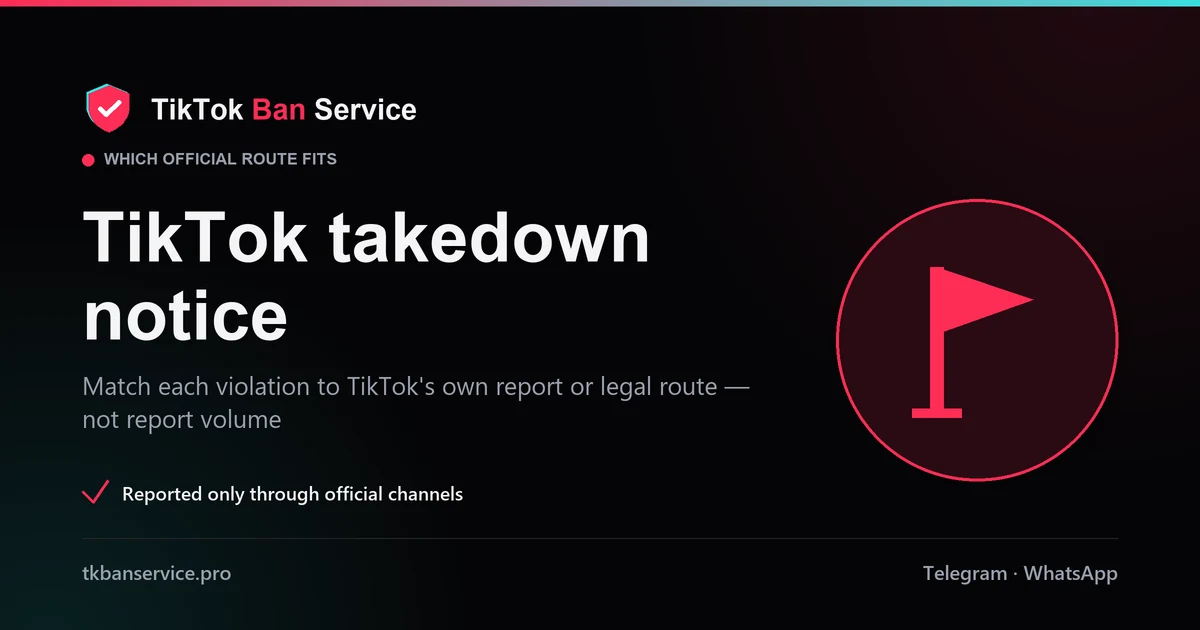 TikTok takedown notice: matching each violation to TikTok's official report or legal route