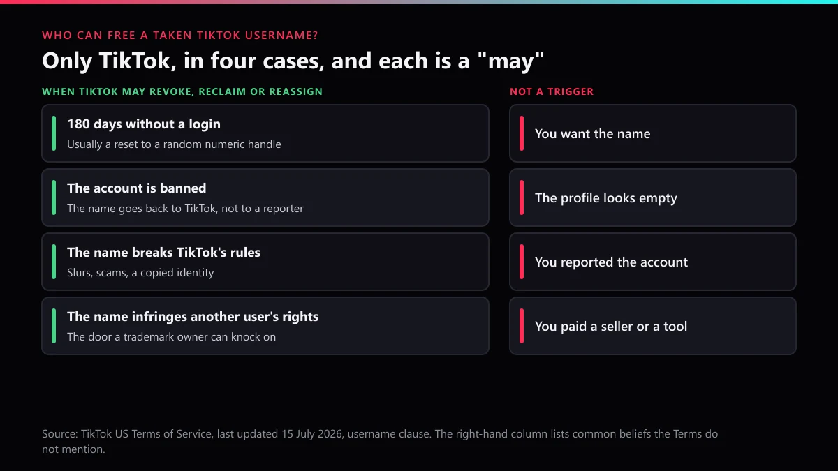 Taken TikTok username reclaim triggers in TikTok's Terms, beside beliefs that do not free a handle