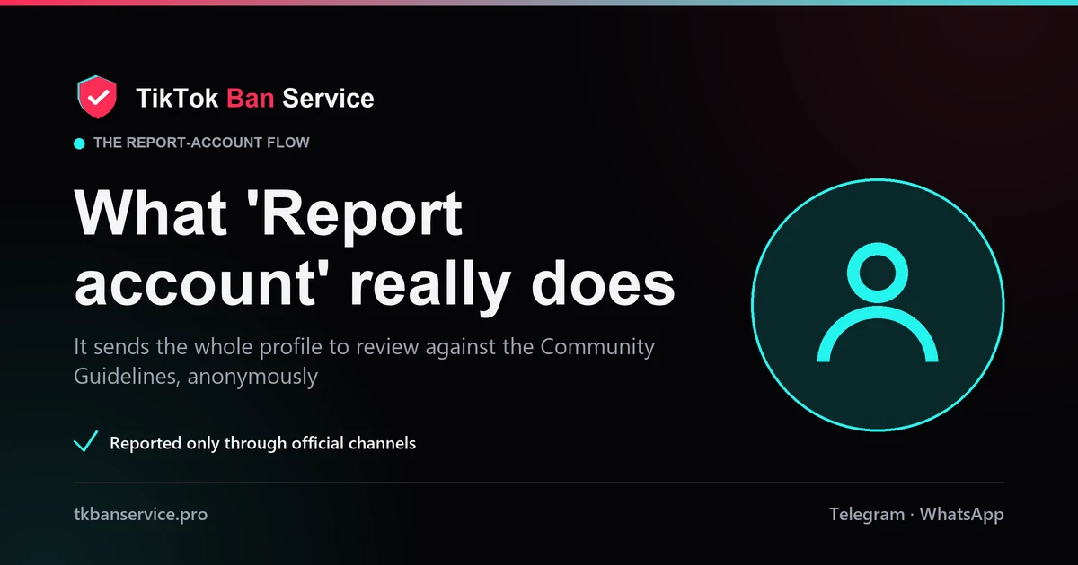 What reporting a TikTok account does: moderators check it against the Community Guidelines before any ban or strike